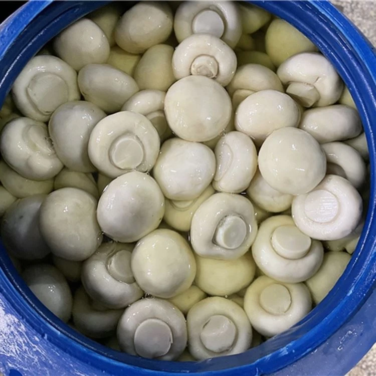 Mushroom in brine in drums (3)-3