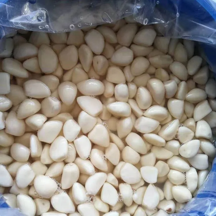 preserved garlic in plastic drums