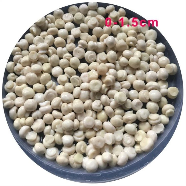 Preserved whole white mushroom in drums