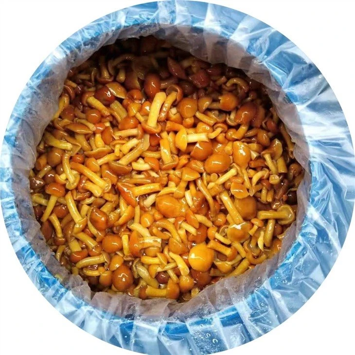 Nameko in brine in drums