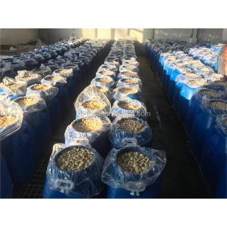 Salted normal white garlic in brine in drums