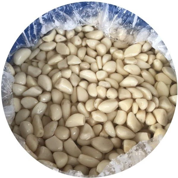 Preserved garlic in brine in drums