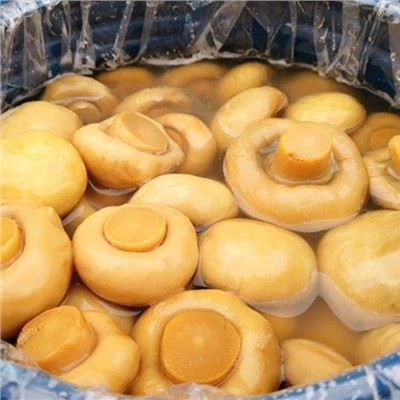 New Crop Fresh Mushroom nyob rau hauv Brine