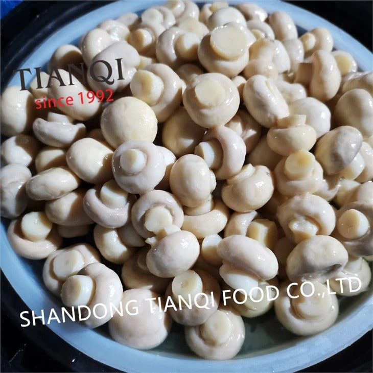 Drum Package Mushroom in Vinegar in Drums