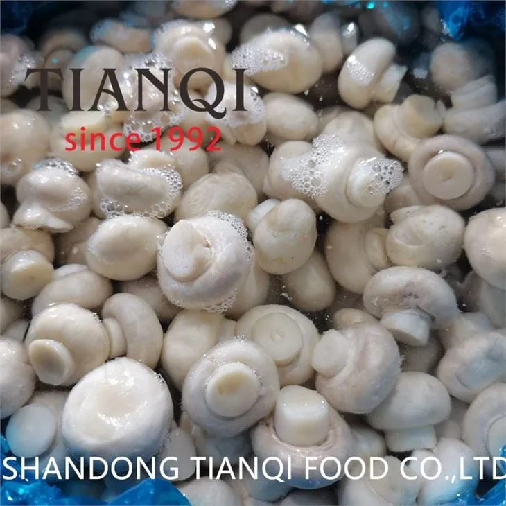 Brined Whole white mushroom in drums