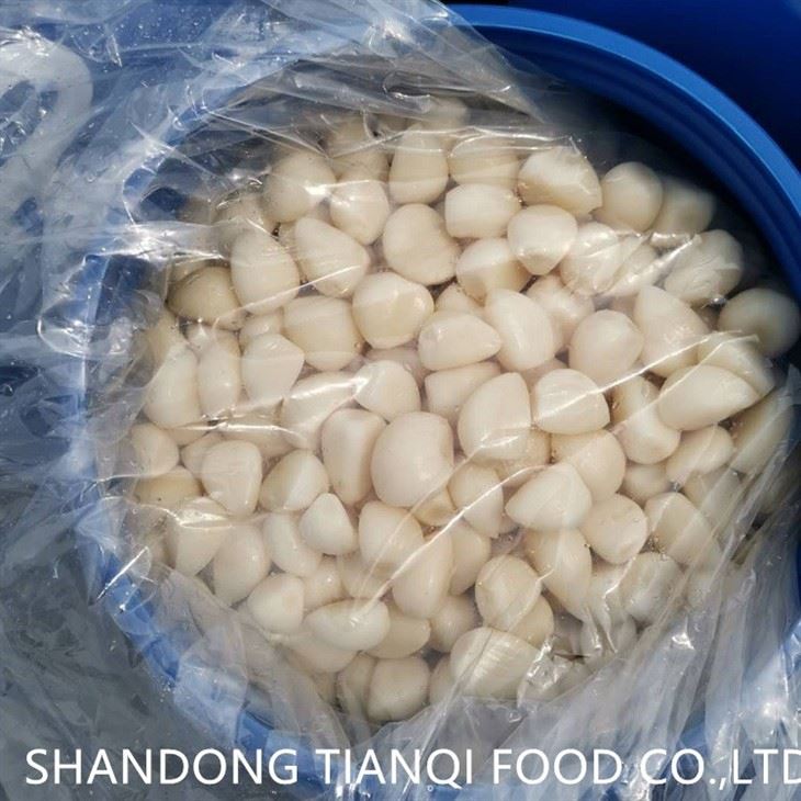 White garlic cloves in brine in drums manufacturer