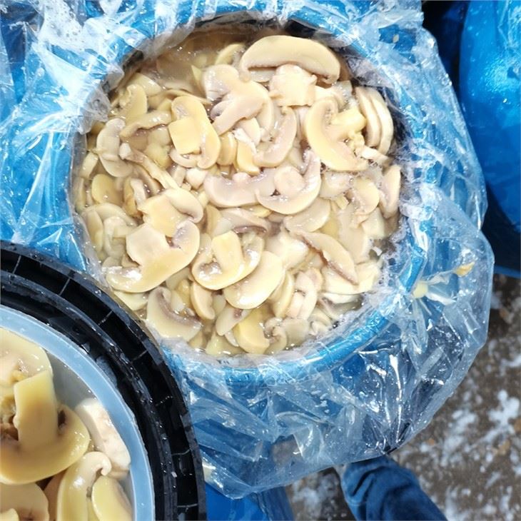 P&S Mushroom in salted water in Plastic Drums