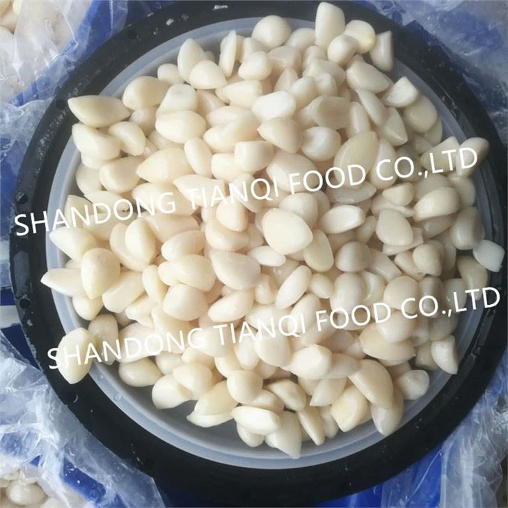 Shandong Pickled Garlic in brine in Drums with high quality