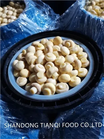 Champignon Mushroom Whole & PNS hauv Nruas