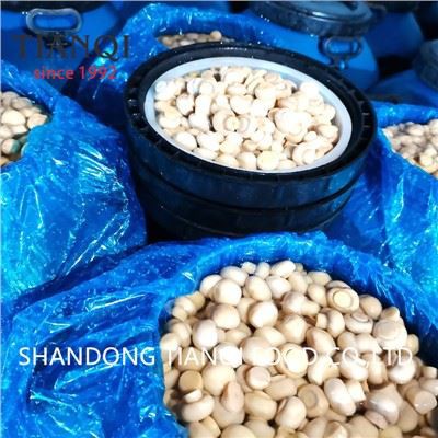 Mushroom hauv Drums hauv Vinegar Factory