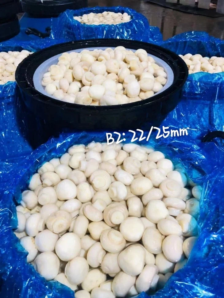 Nruas Pob Mushroom hauv Vinegar hauv Drums